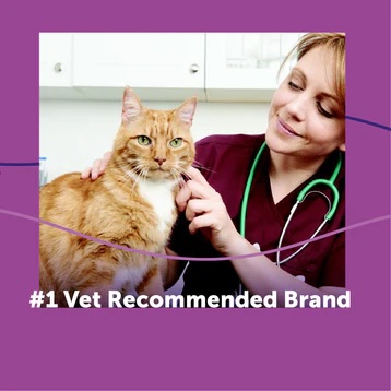 vet recommended.jpeg
