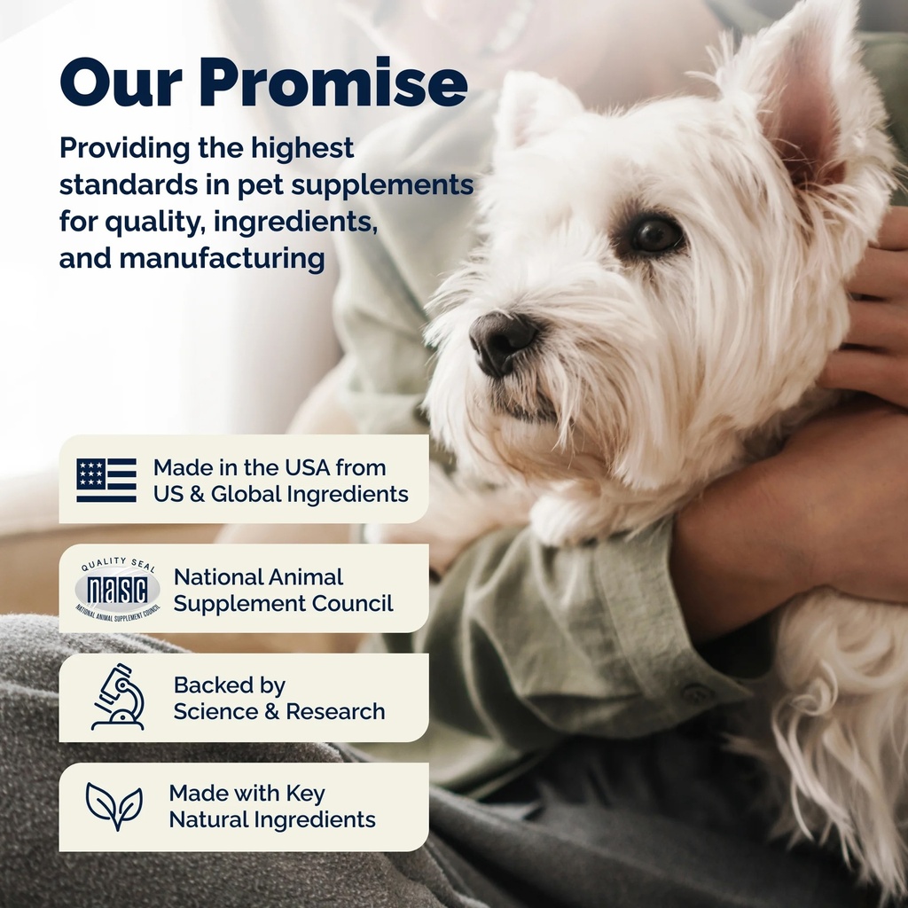 vetnique promise.jpeg