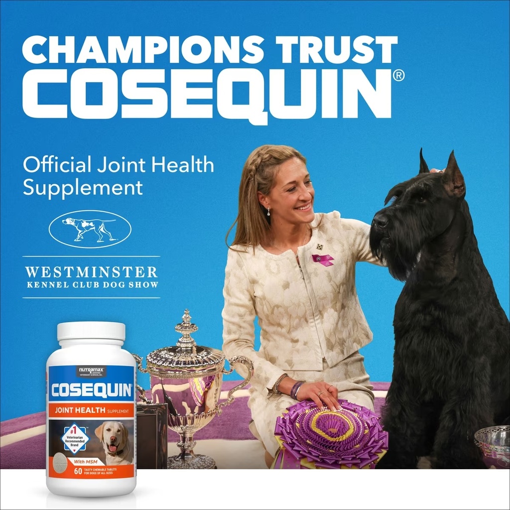 Cosequin dog show.jpg