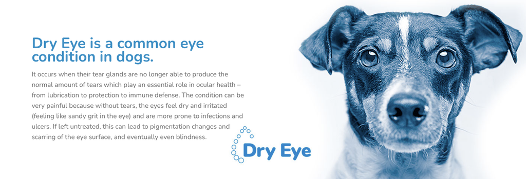 Screenshot 2025-11-28 at 1.28.33 PM.png