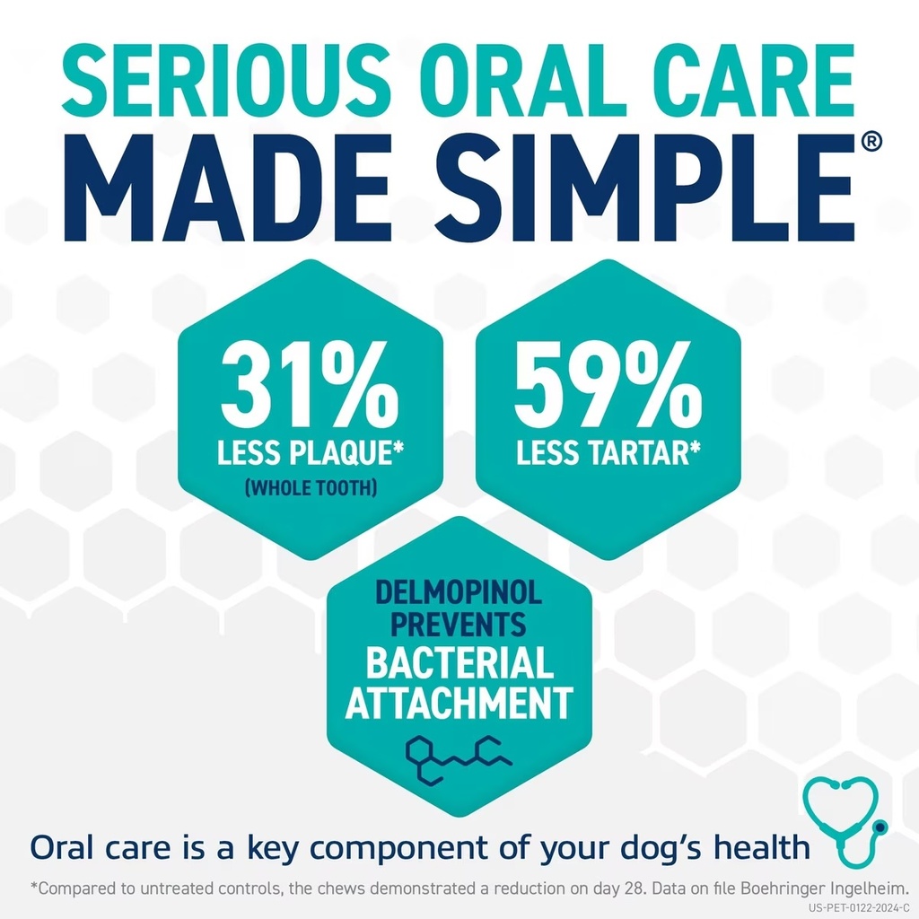 simple oral care.jpg