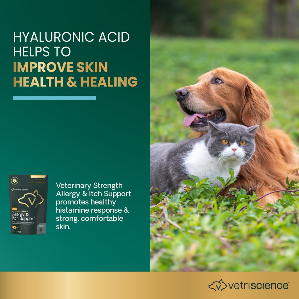 hyaluronic acid.jpeg