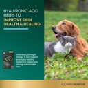 hyaluronic acid.jpeg