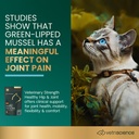 green-lipped mussel.jpeg