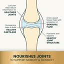 nourishes joints.jpeg