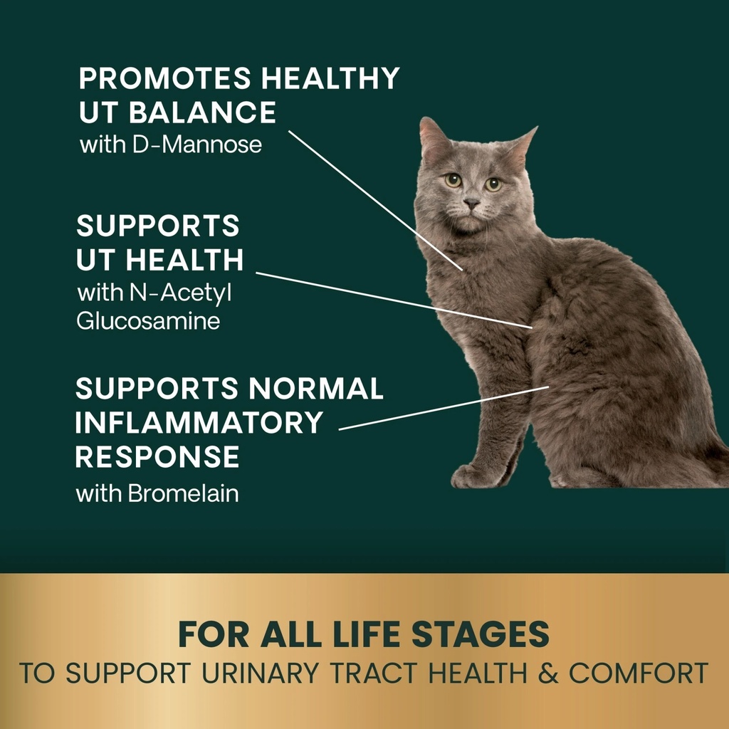 all life stages.jpeg