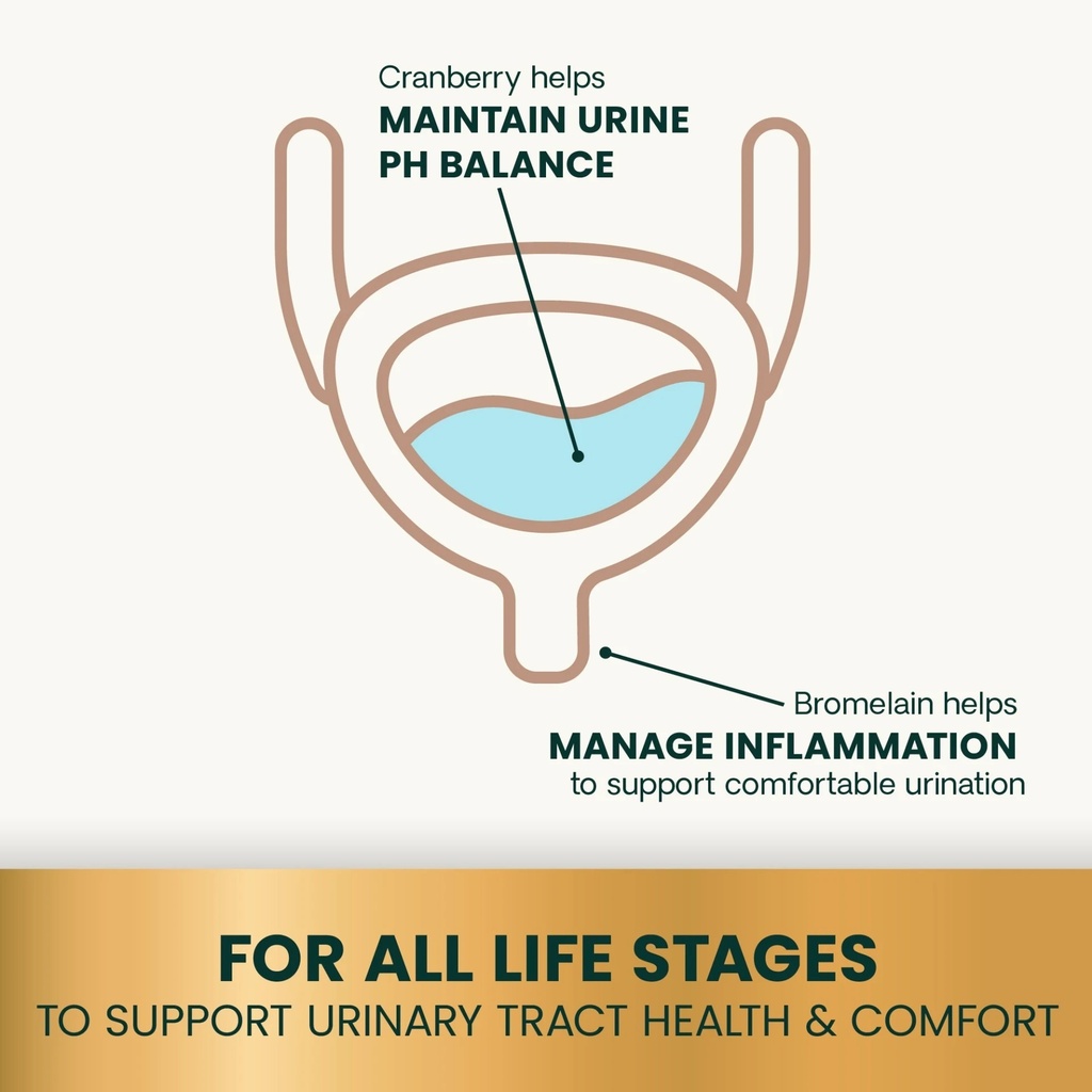 all life stages.jpeg