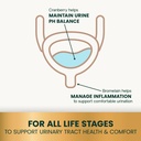 all life stages.jpeg