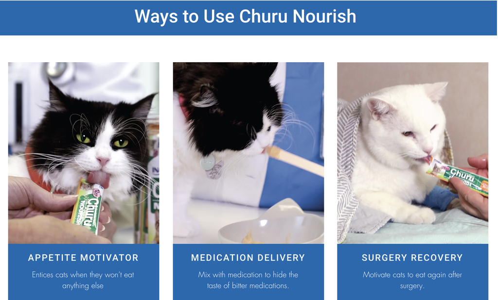 Screenshot 2026-01-19 at 1.14.42 PM.png