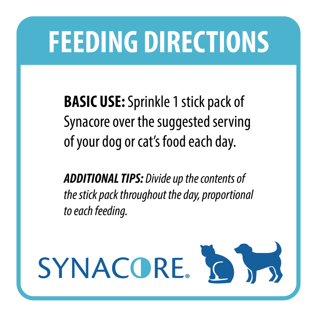 Synacore_Directions Logo.png