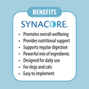 Synacore_Benefits Logo Background.png