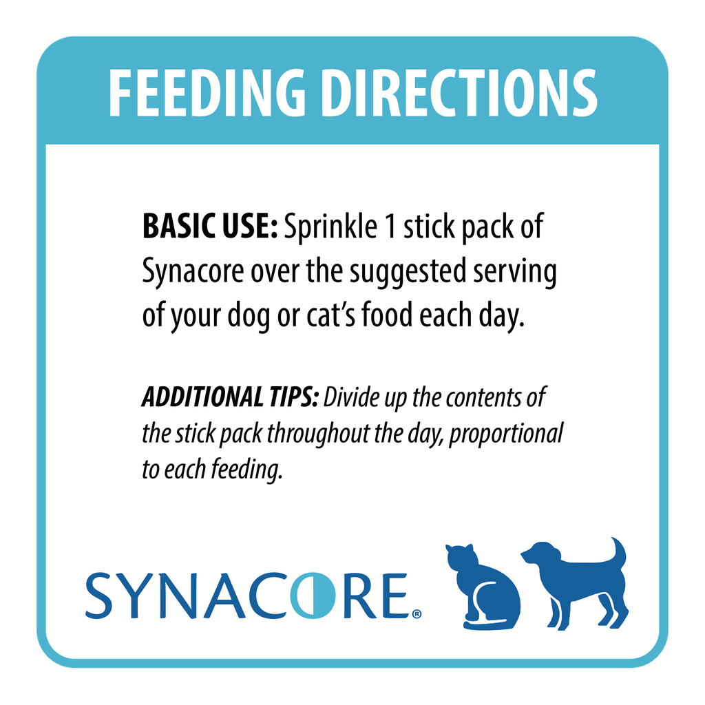 Synacore_Directions Logo.png