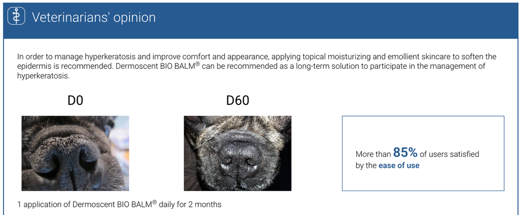 Biobalm Hyperkeratosis.png