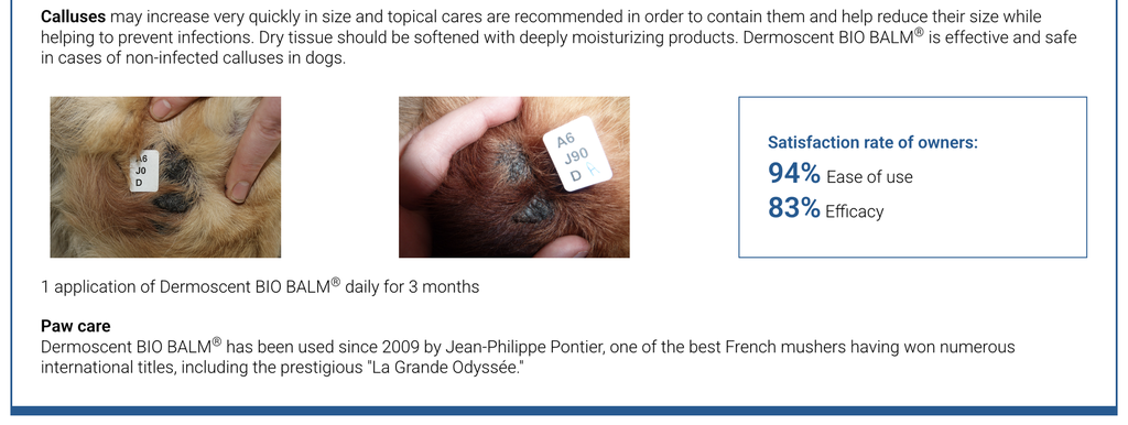 Biobalm calluses.png