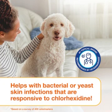 bacterial or yeast.jpeg