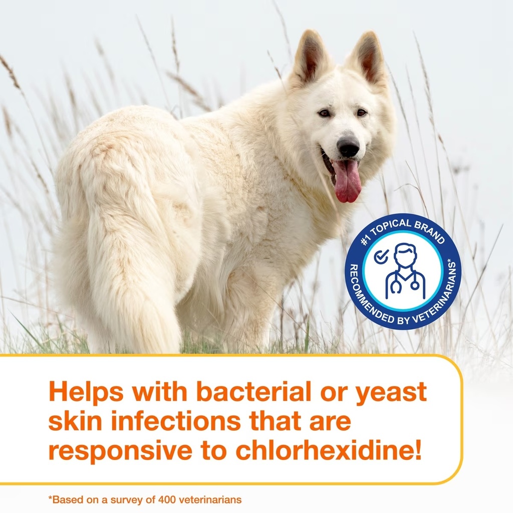 bacterial or yeast.jpg