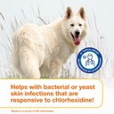 bacterial or yeast.jpg