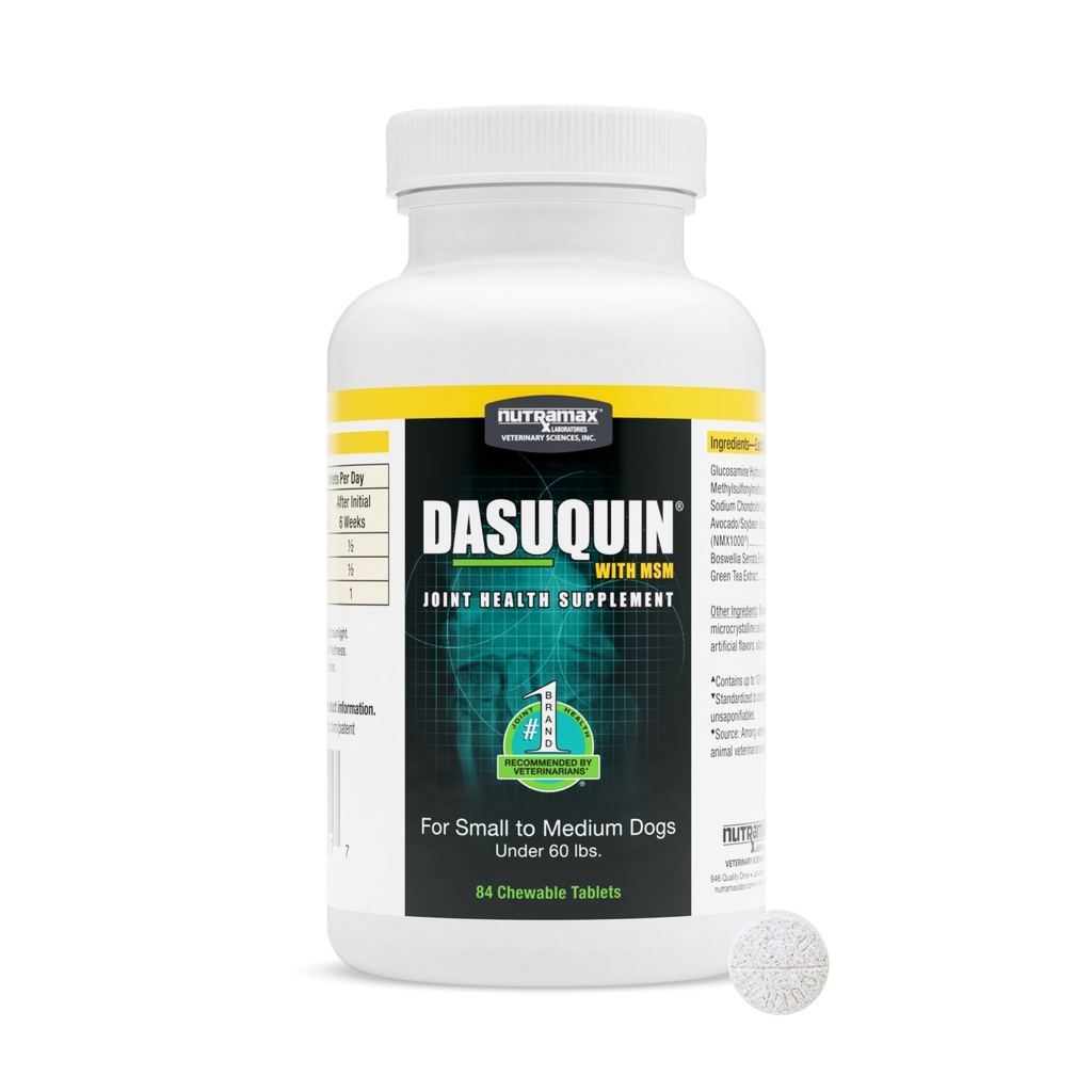 Nutramax Dasuquin with MSM Chewable Tablets for Dogs