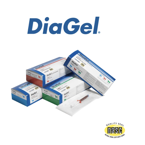 DiaGel Anti-Diarrheal Gel for Dogs